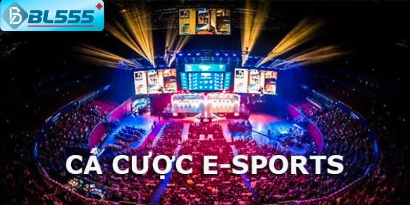 Giao diện cá cược esports BL555 - kèo cập nhật realtime 24/7