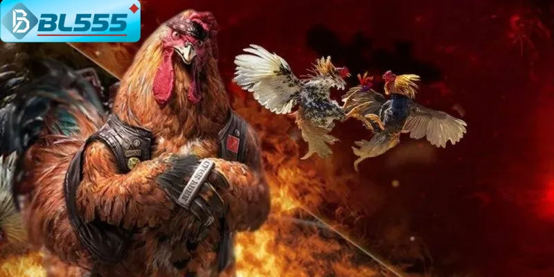 Đọc vị trọng tài 1 kinh nghiệm chơi đá gà online tỷ lệ thắng cao